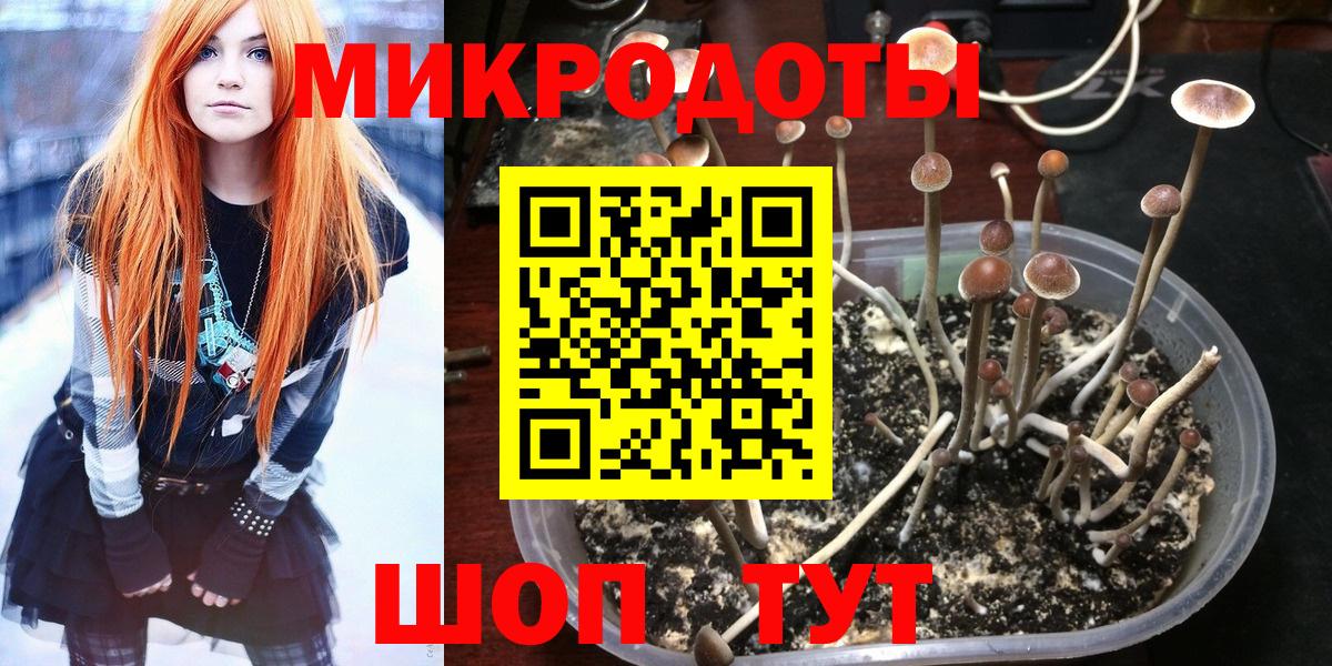 Галлюциногенные грибы мицелий Шумерля